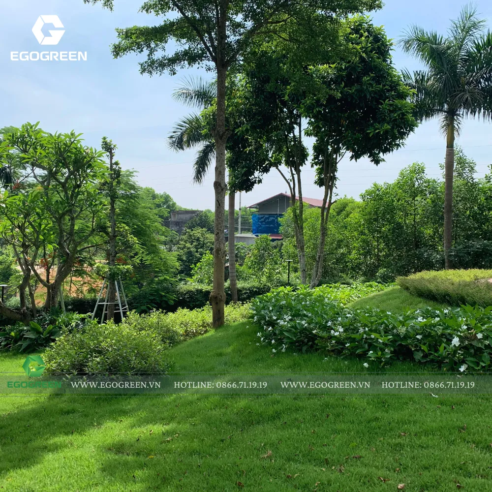 Mỗi góc sân vườn đều đem lại cảm xúc và nguồn năng lượng tích cực.